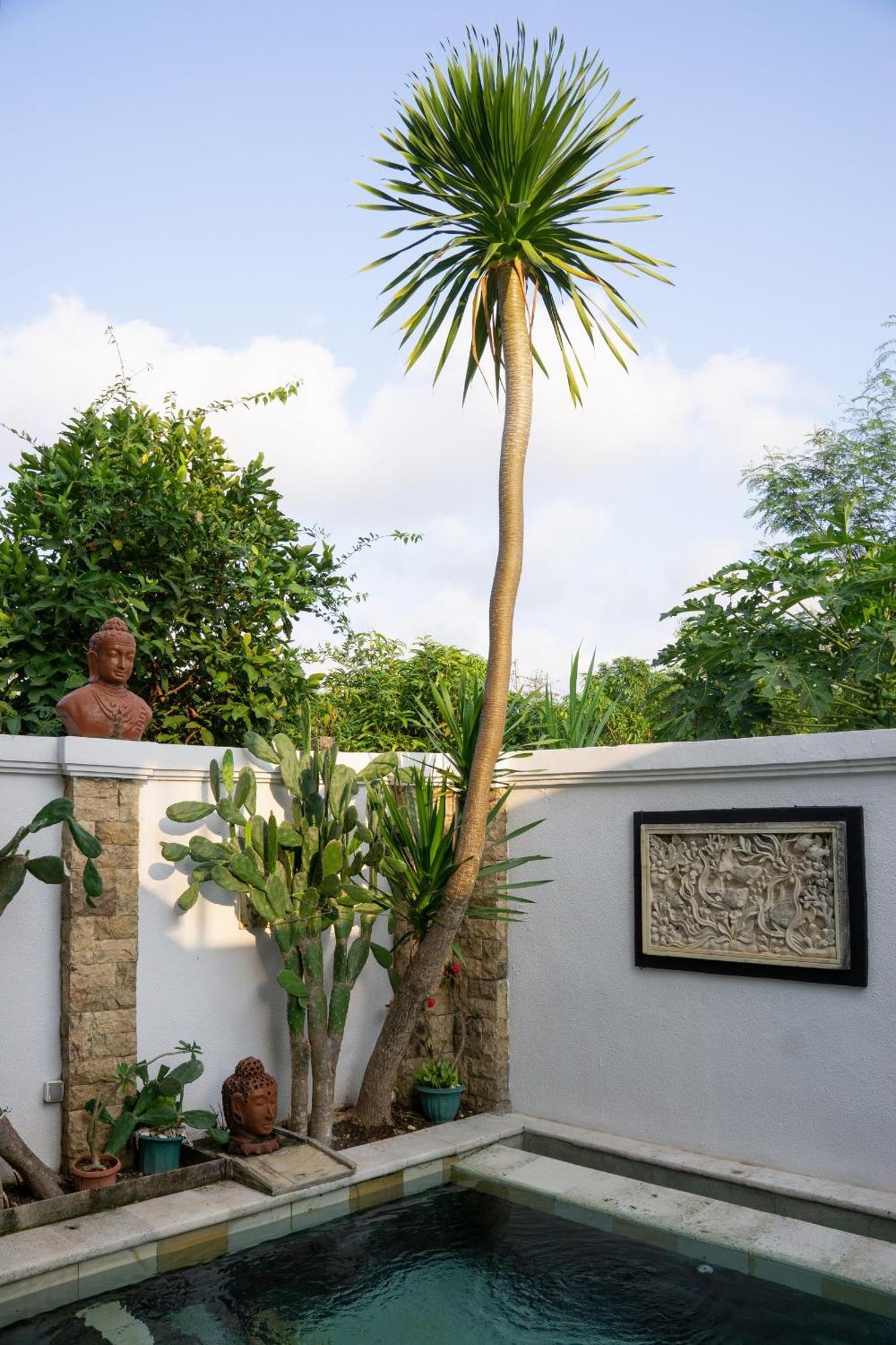 Hills House Villa By Sunnyrent - Jimbaran X Balangan X Gwk エクステリア 写真