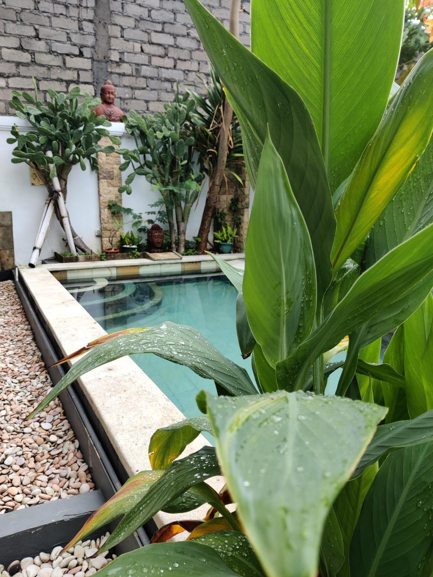 Hills House Villa By Sunnyrent - Jimbaran X Balangan X Gwk エクステリア 写真